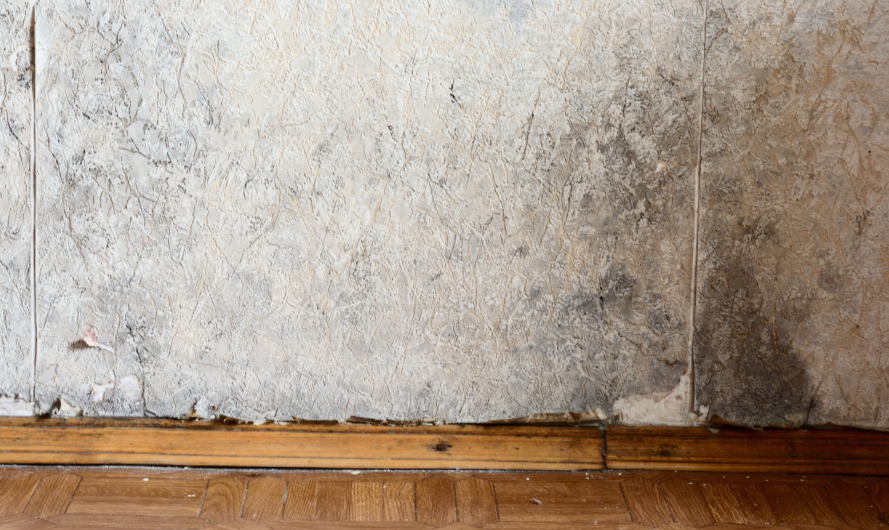 企業(yè)微信截圖_16740949309425